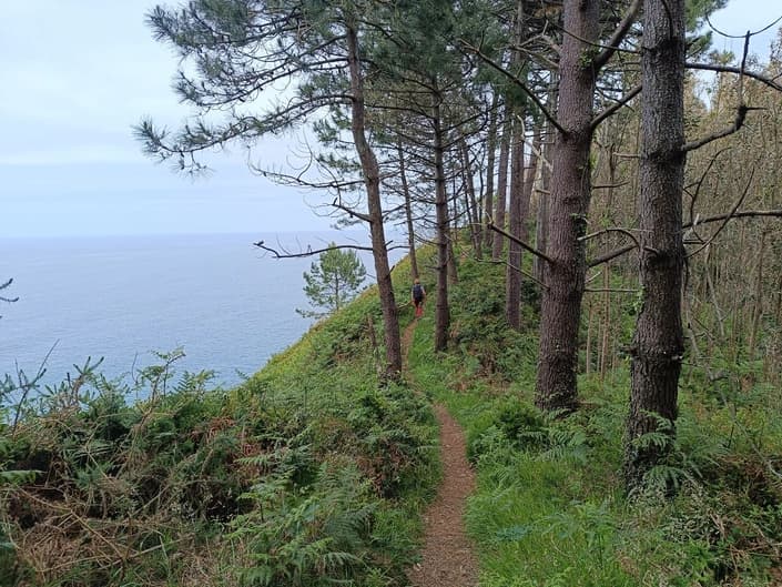 Plentzia - Bermeo