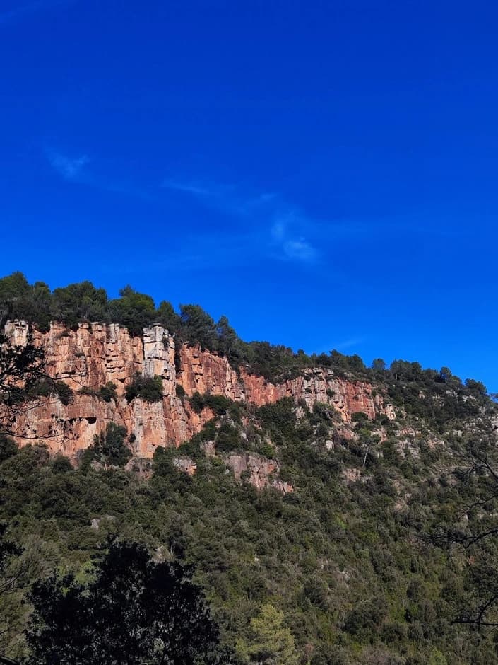 El Figaró
